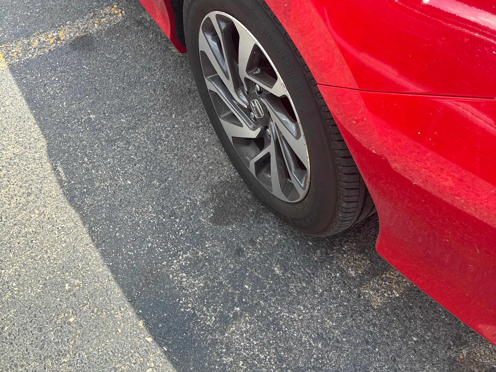 Additional Photo