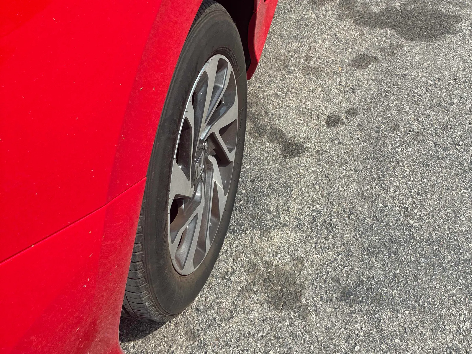Additional Photo