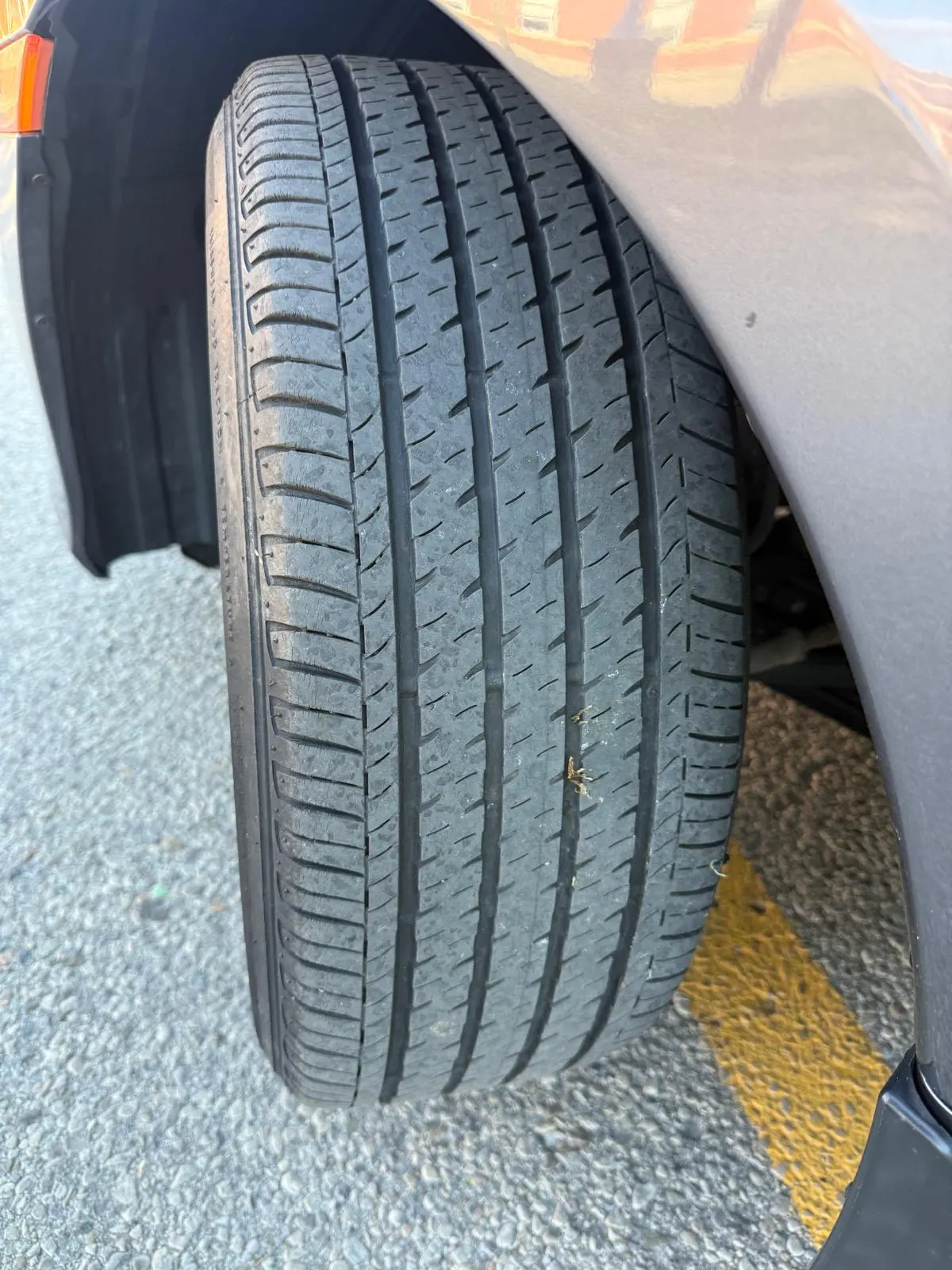 Tire