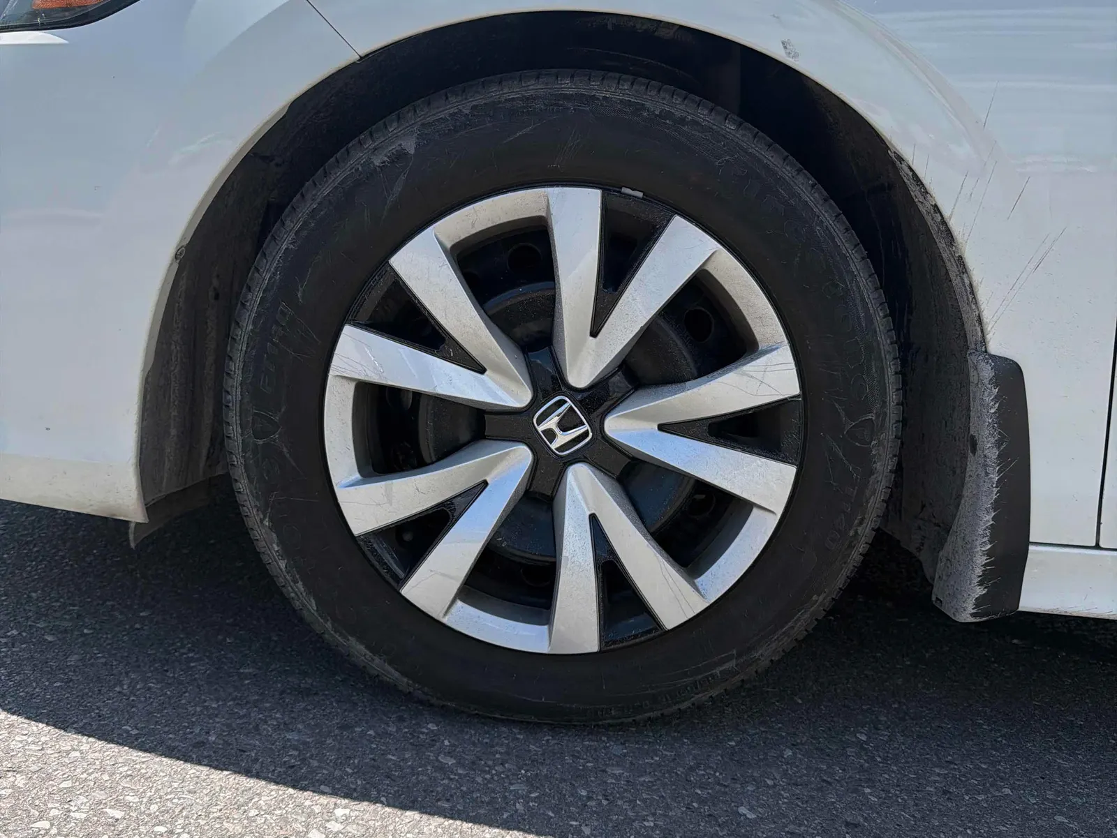 Tire