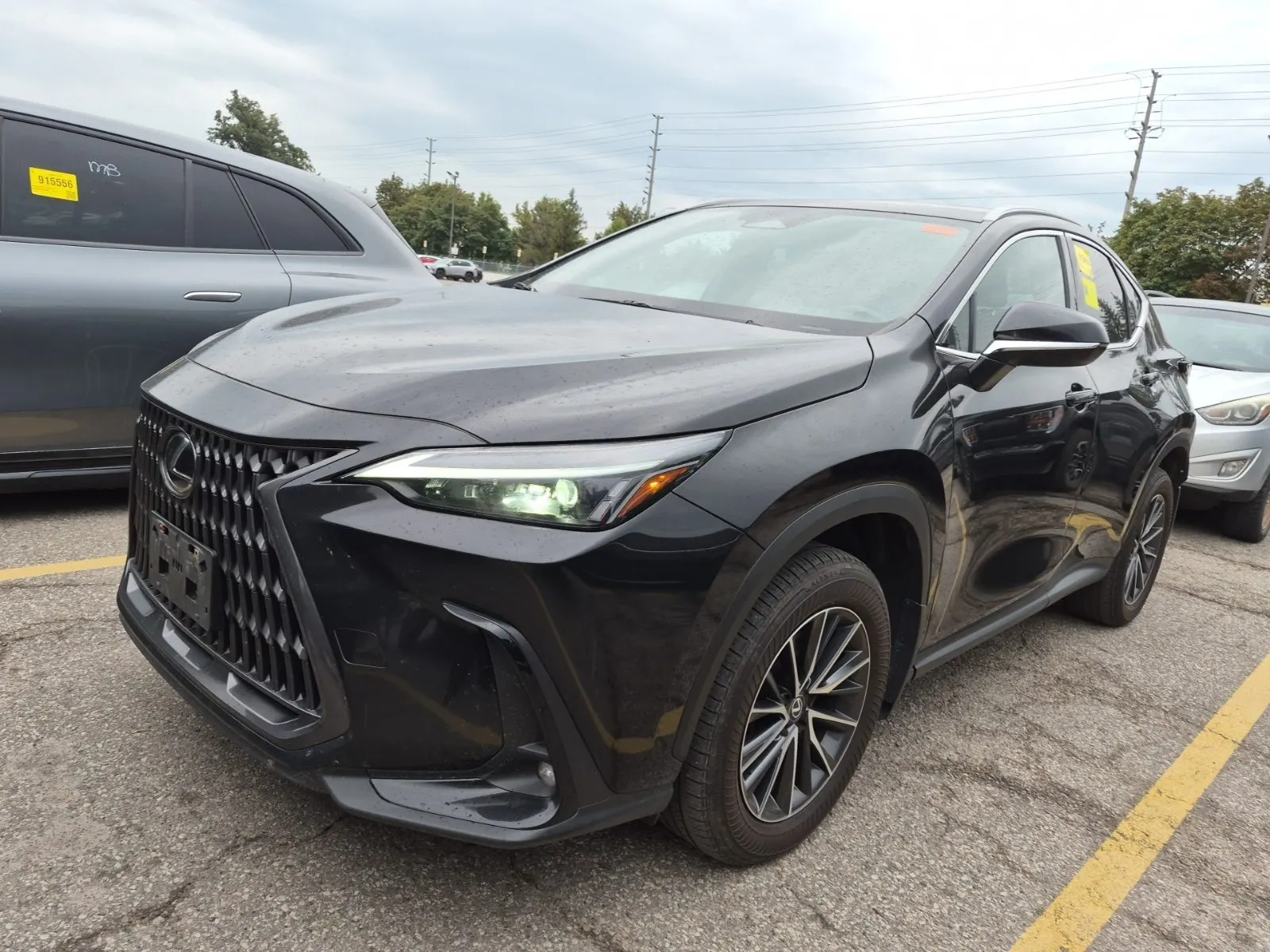 2024 Lexus NX