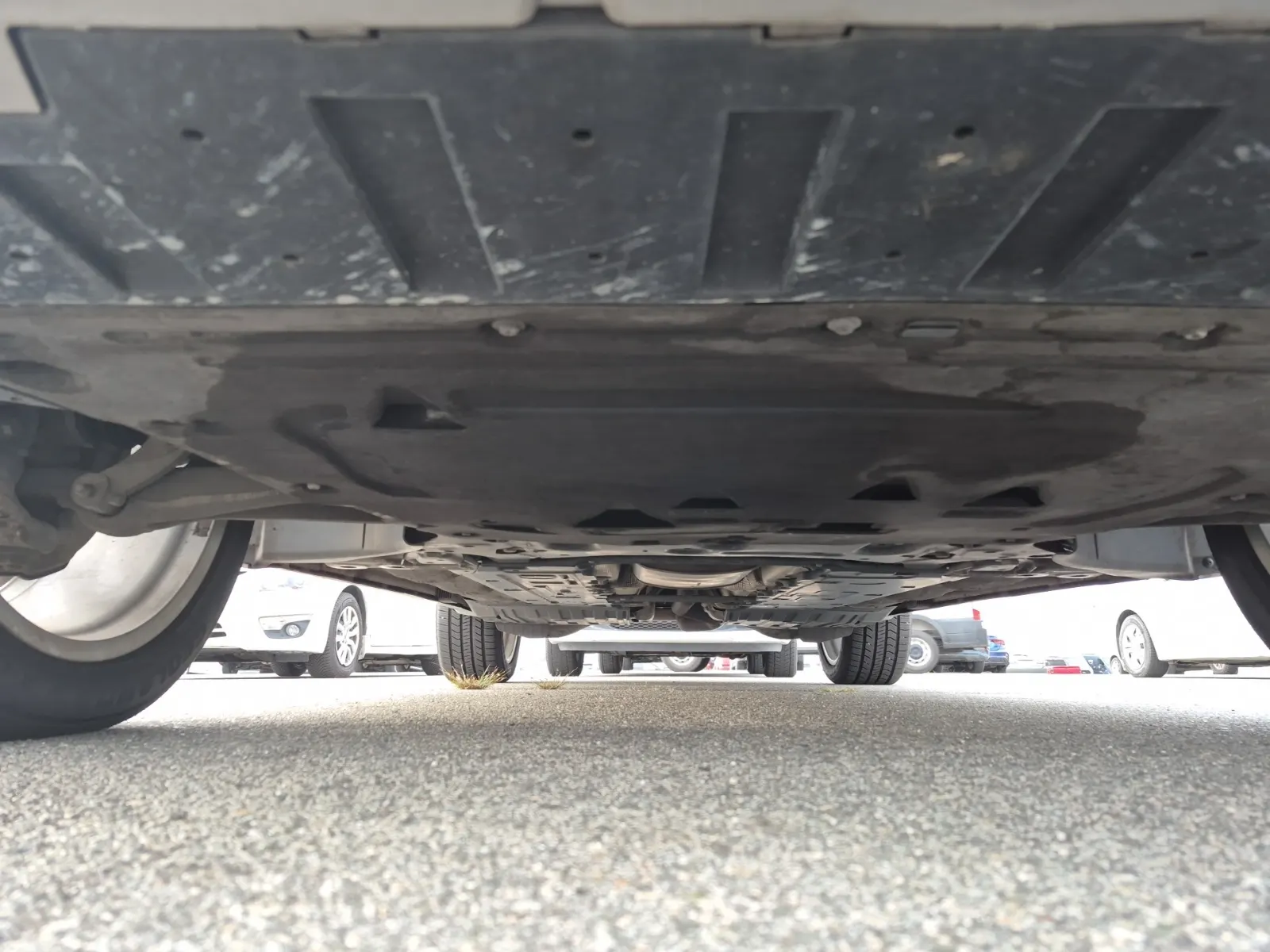 Undercarriage - Front Photo