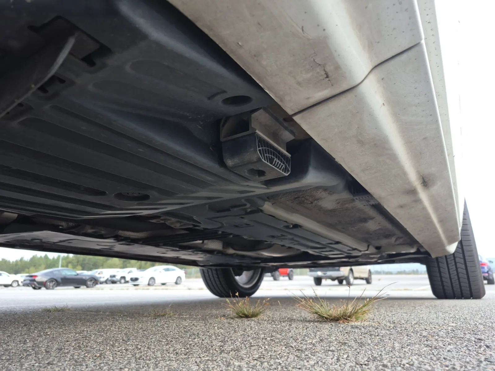 Undercarriage - Passenger Photo