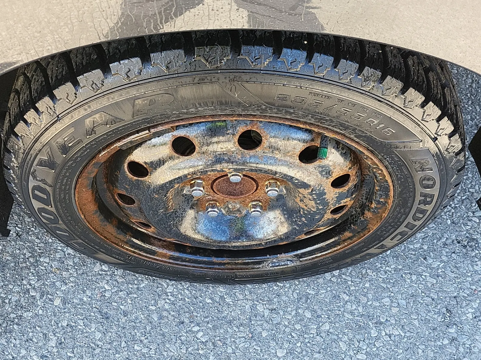 Left Rear Wheel/Tire Photo