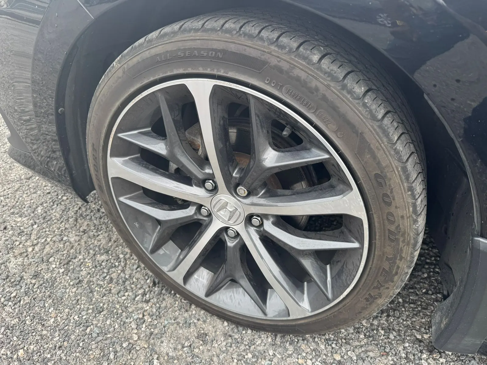 Tire