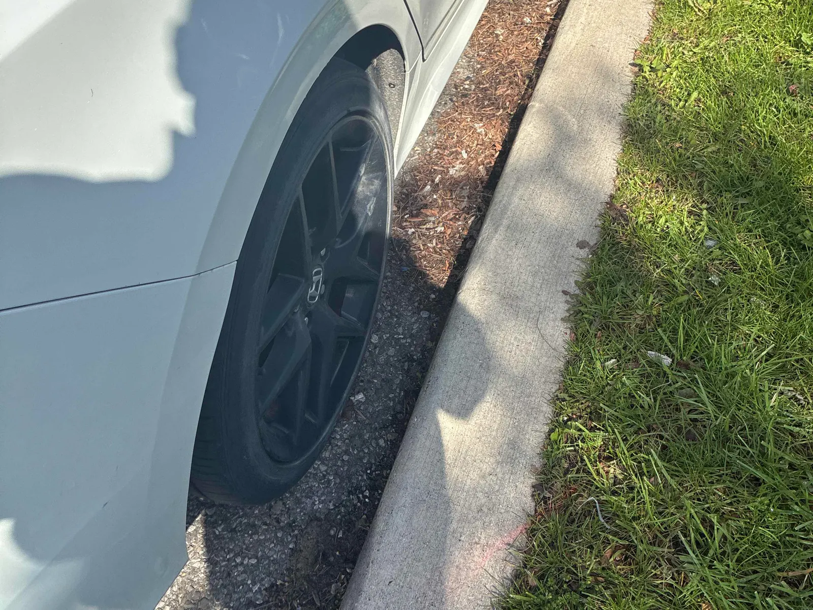 Additional Photo