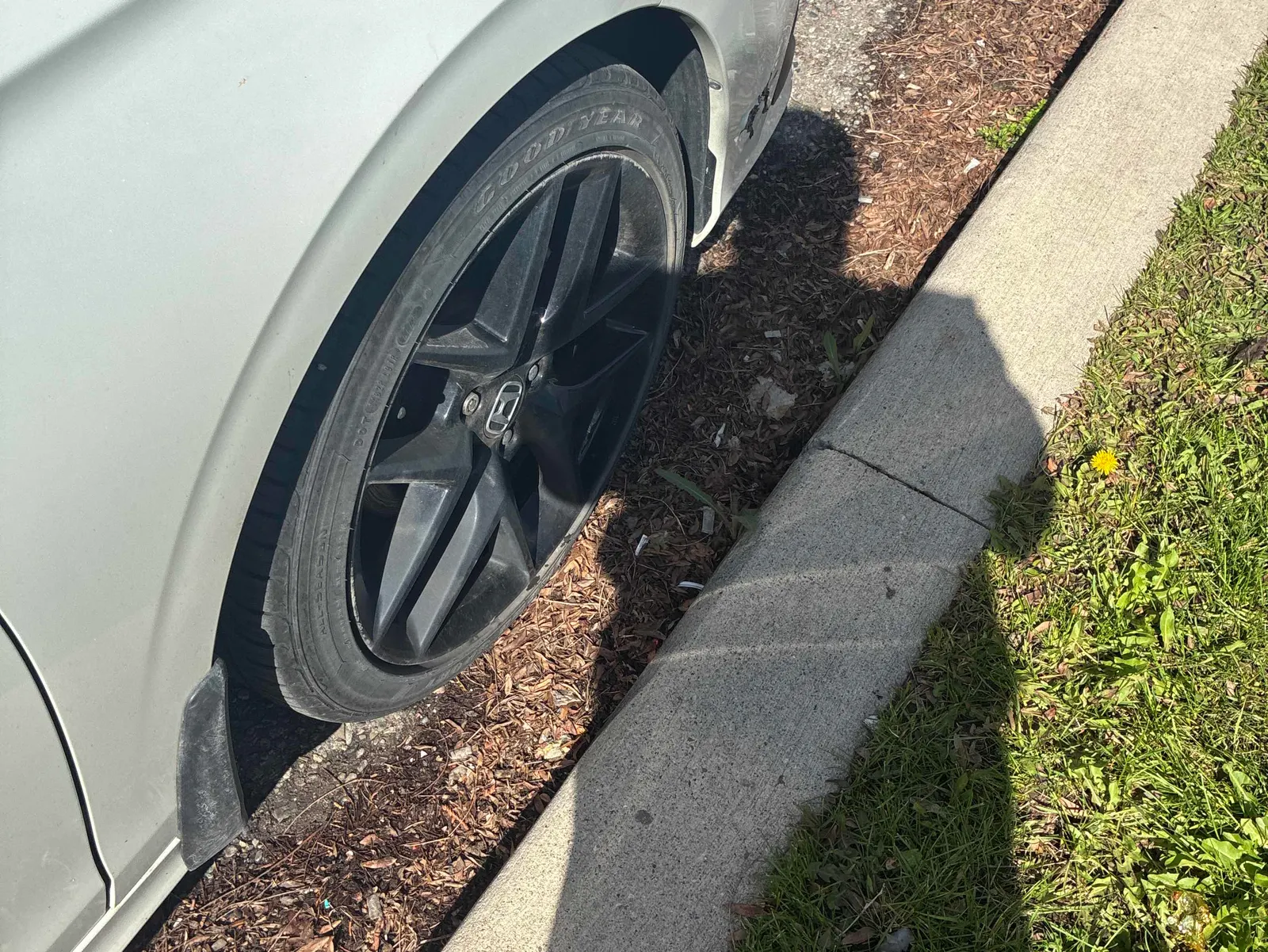 Additional Photo