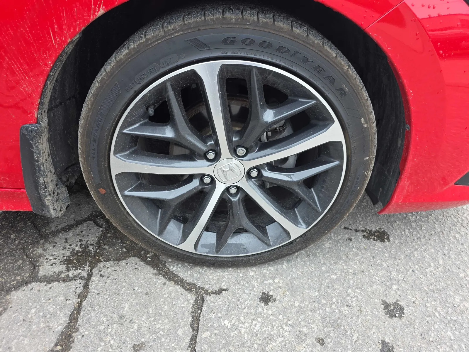 Tire