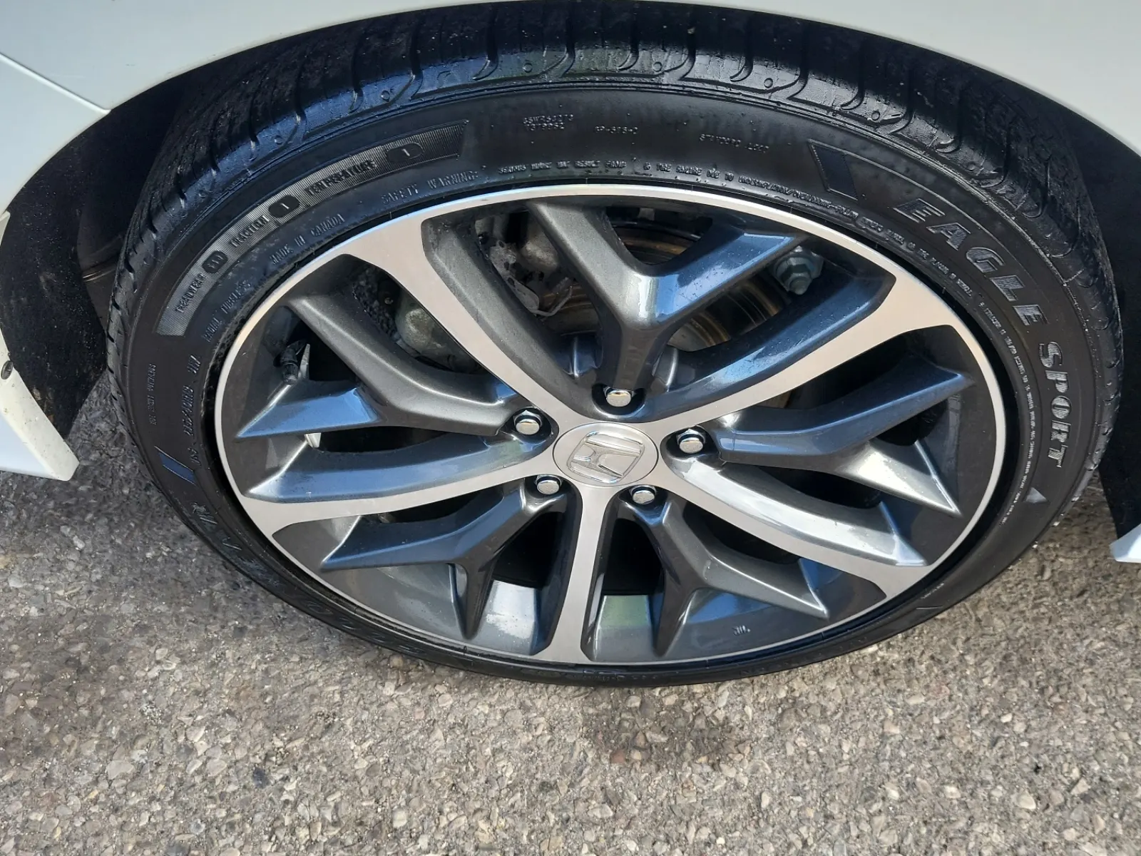 Right Rear Wheel/Tire Photo