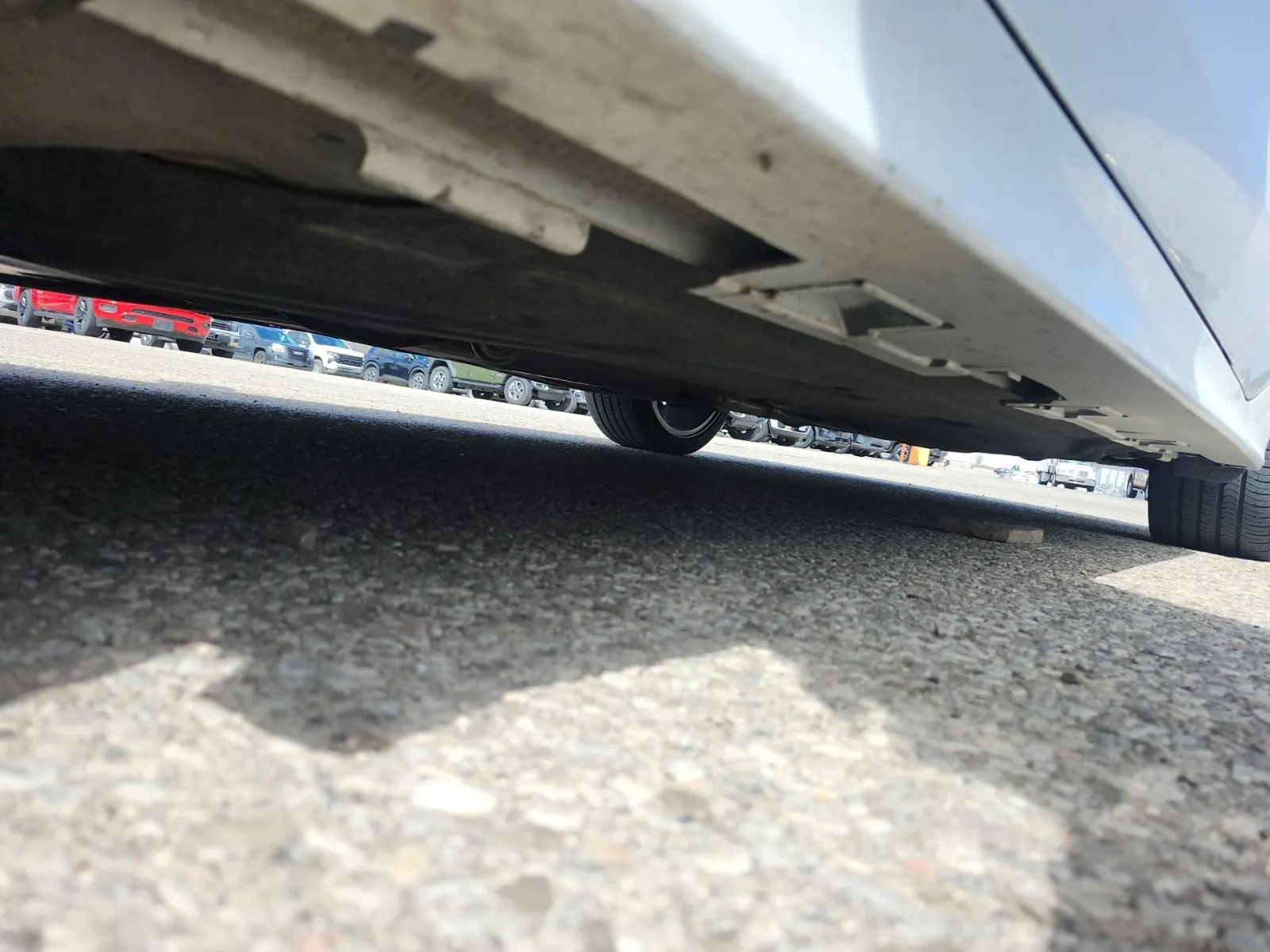 Undercarriage - Driver Photo