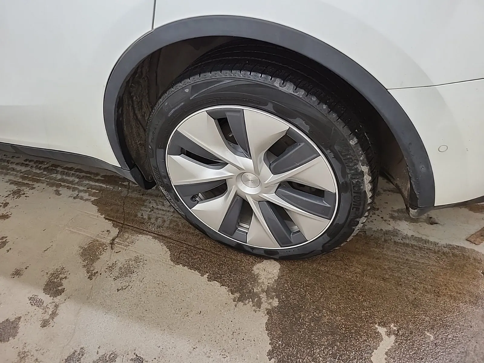 Left Rear Wheel/Tire Photo