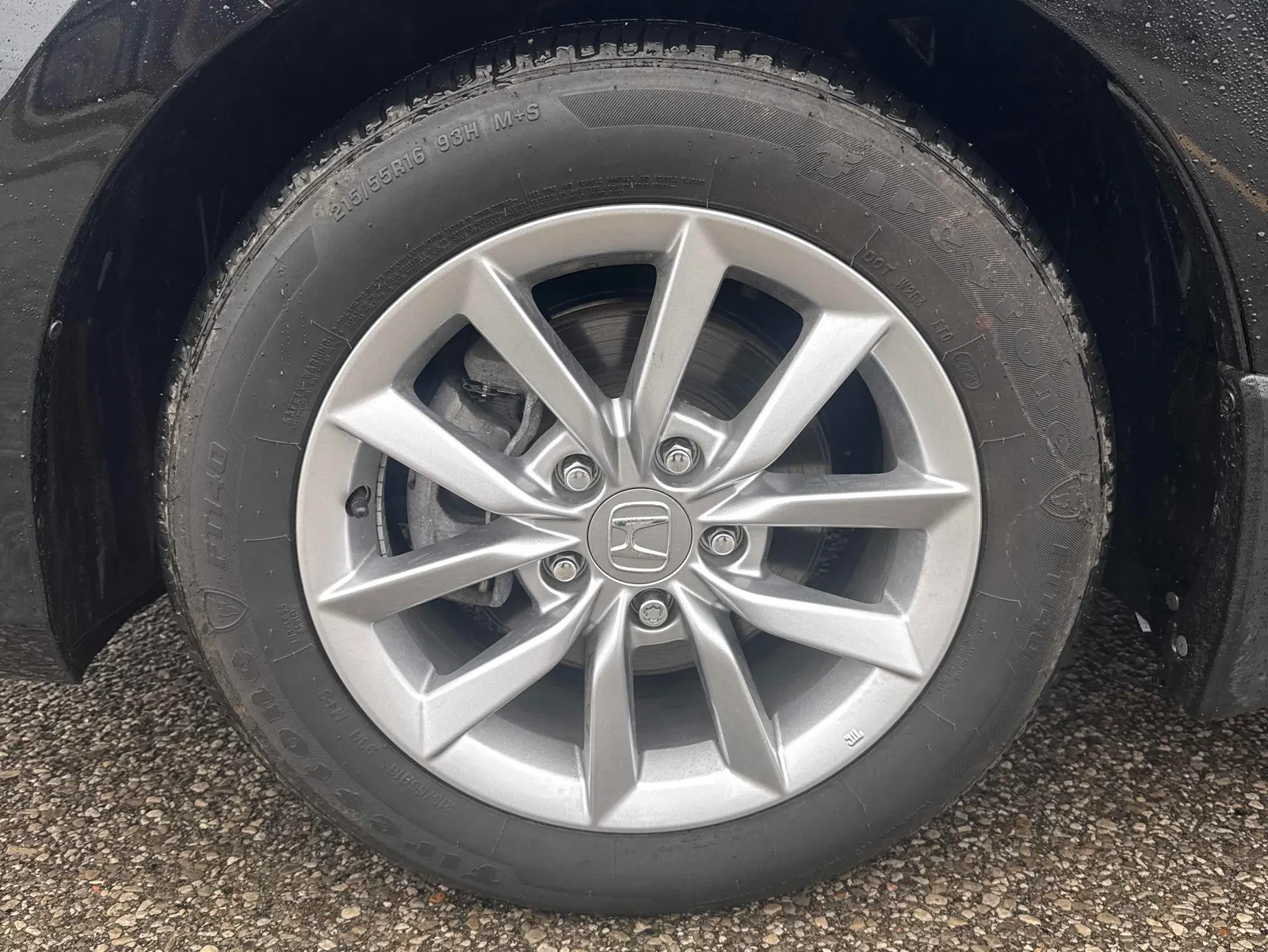 Tire