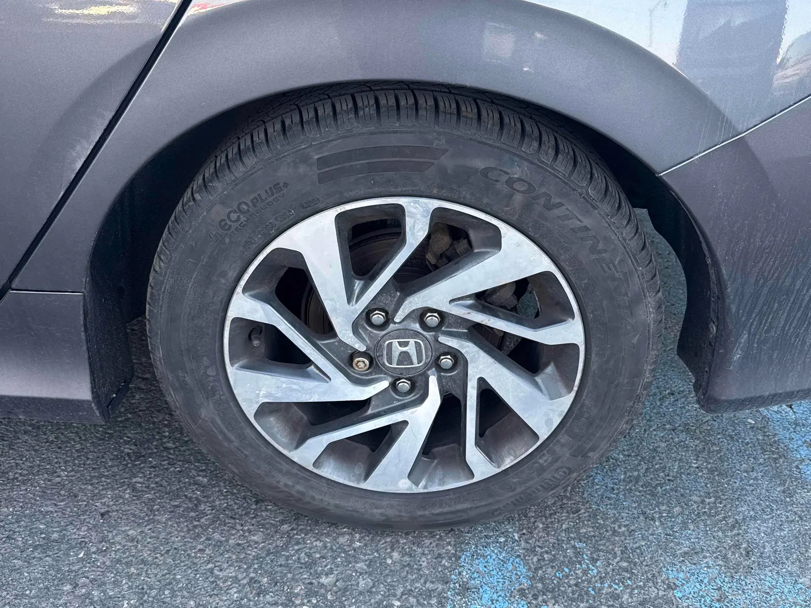 Additional Photo