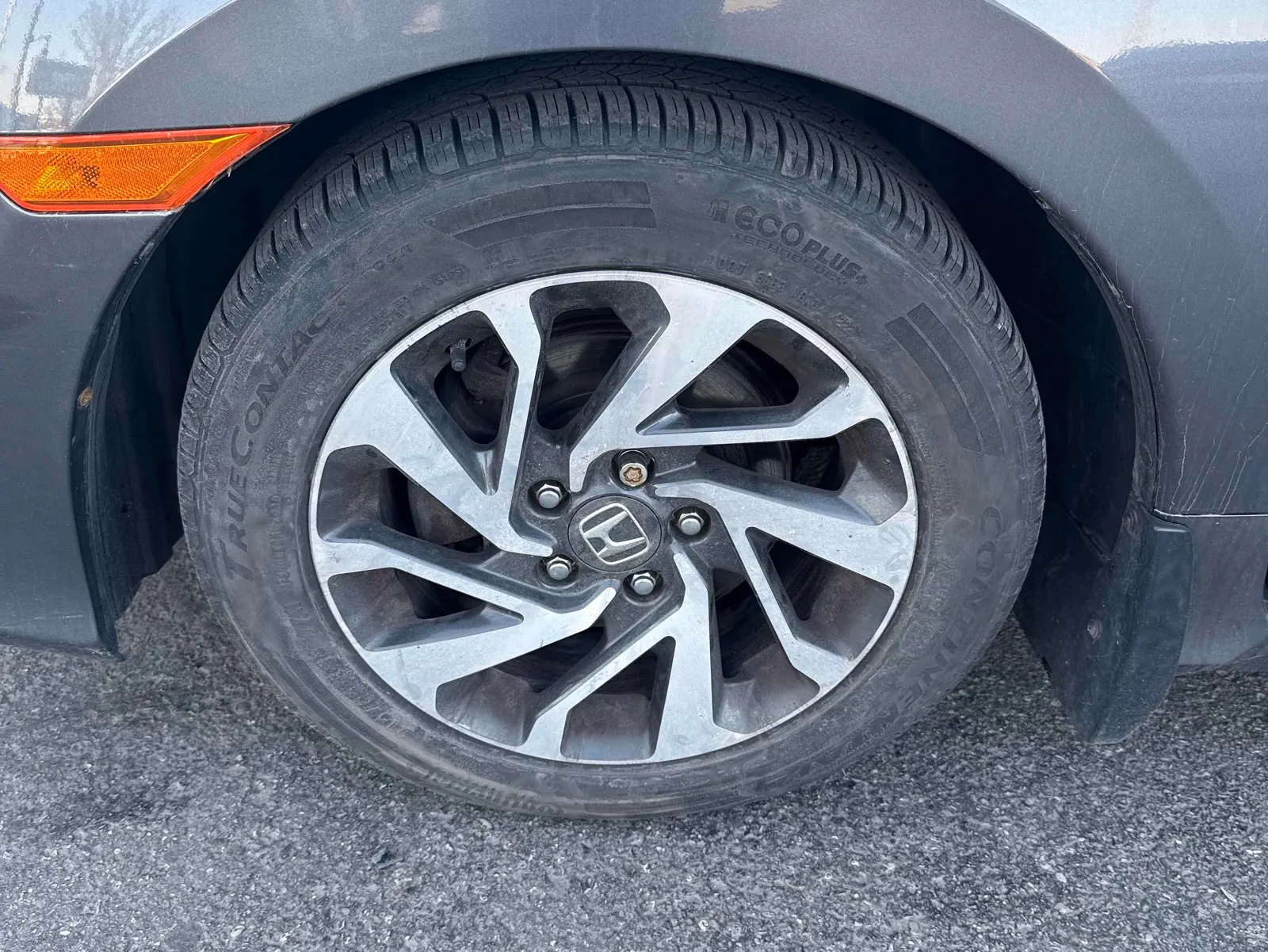 Additional Photo