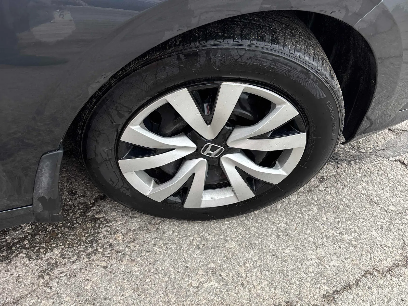 Tire