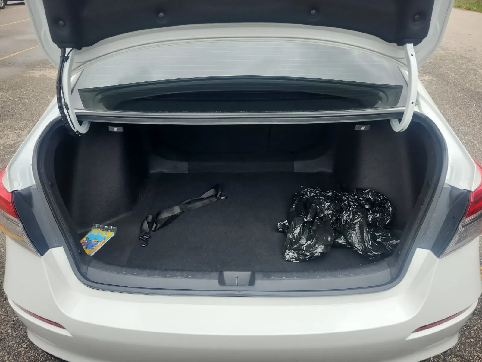 Cargo Area Photo