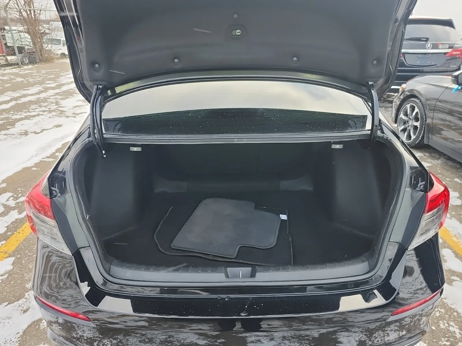 Cargo Area Photo