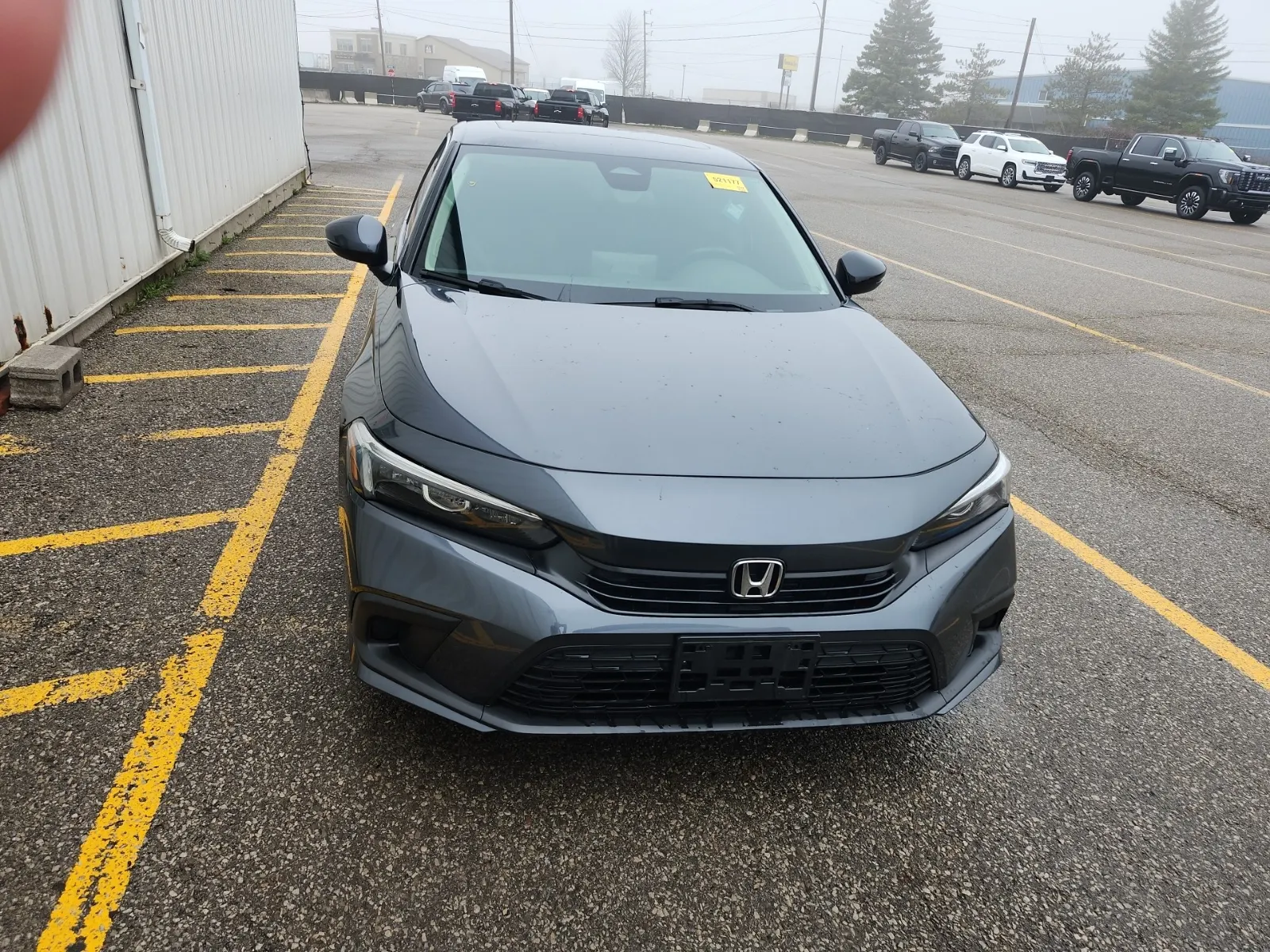 Full Front Photo