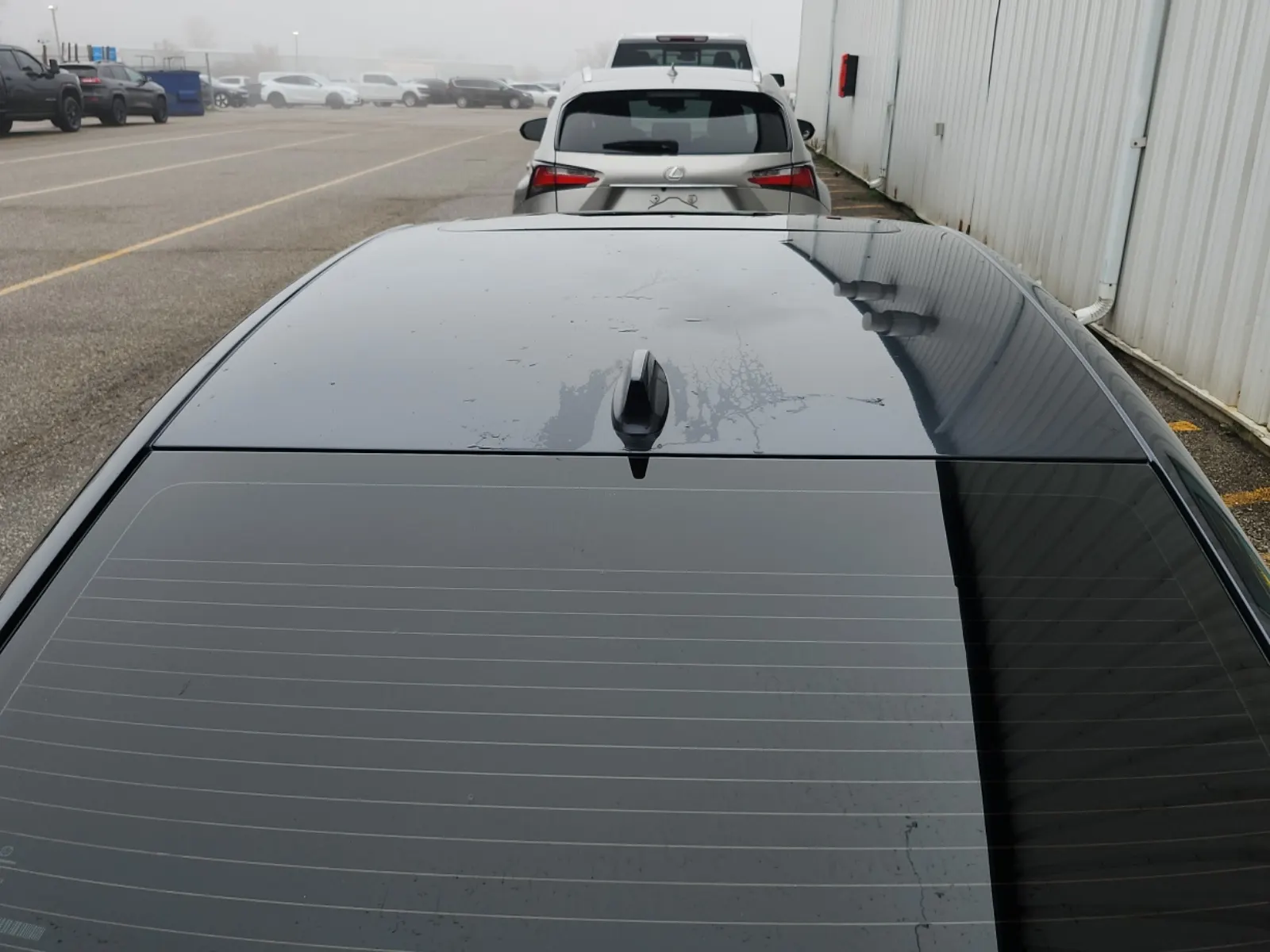 Exterior Roof Photo