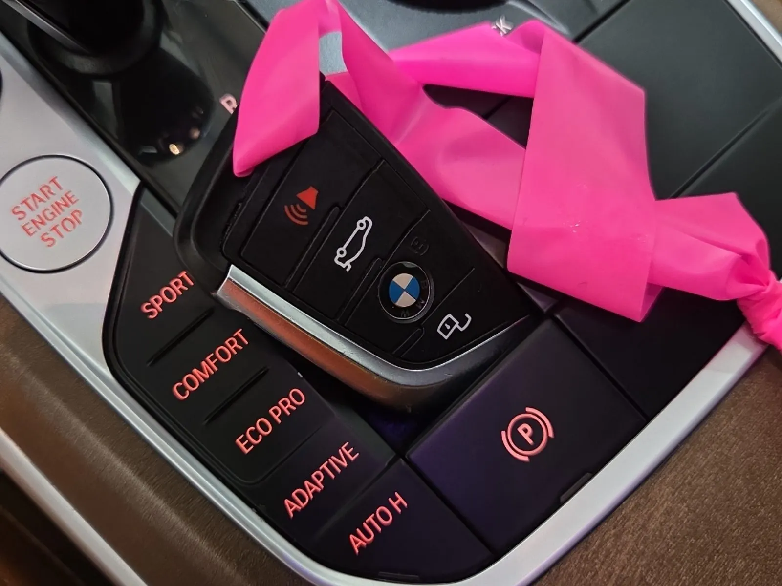 Keys/Fobs/Manual Photo