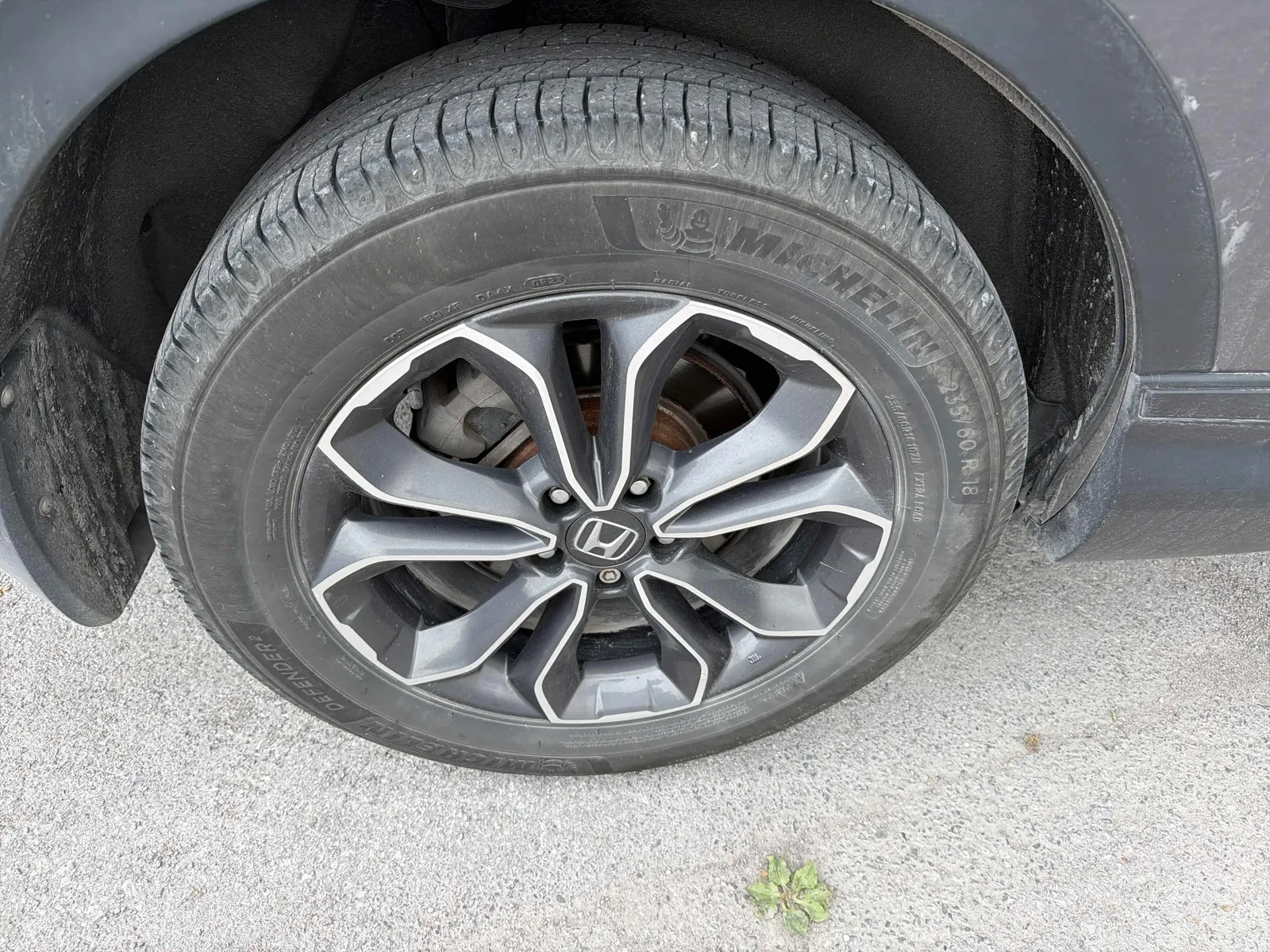 Tire