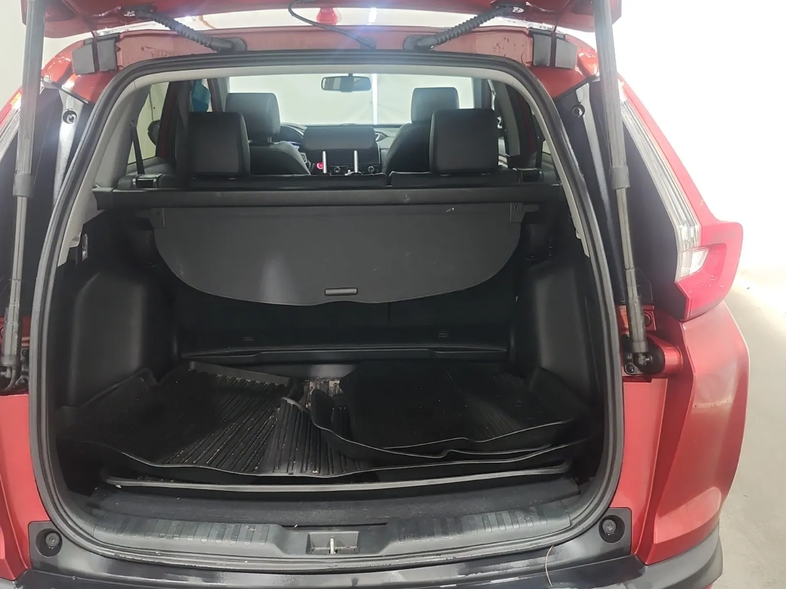 Cargo Area Photo