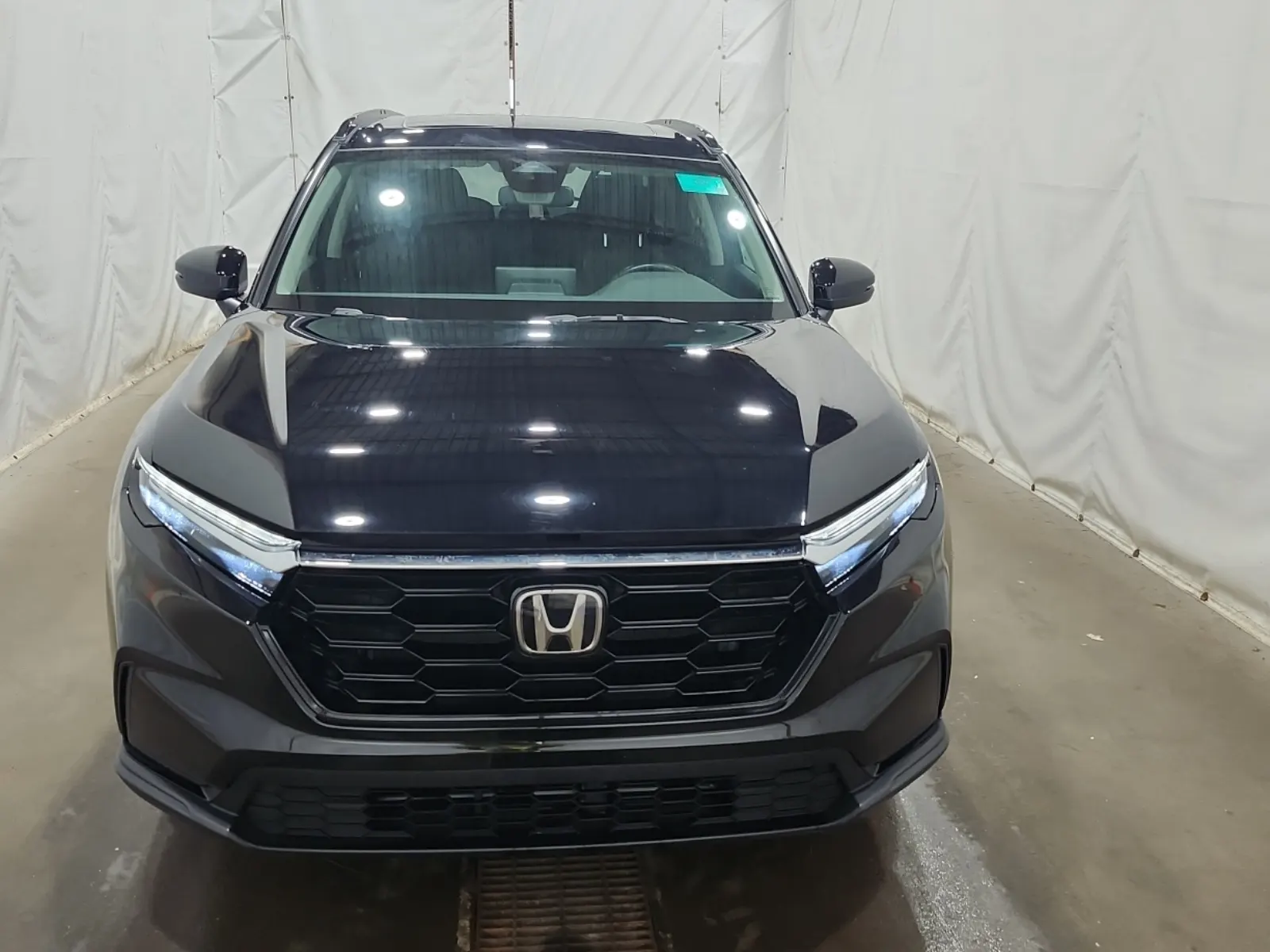 Full Front Photo