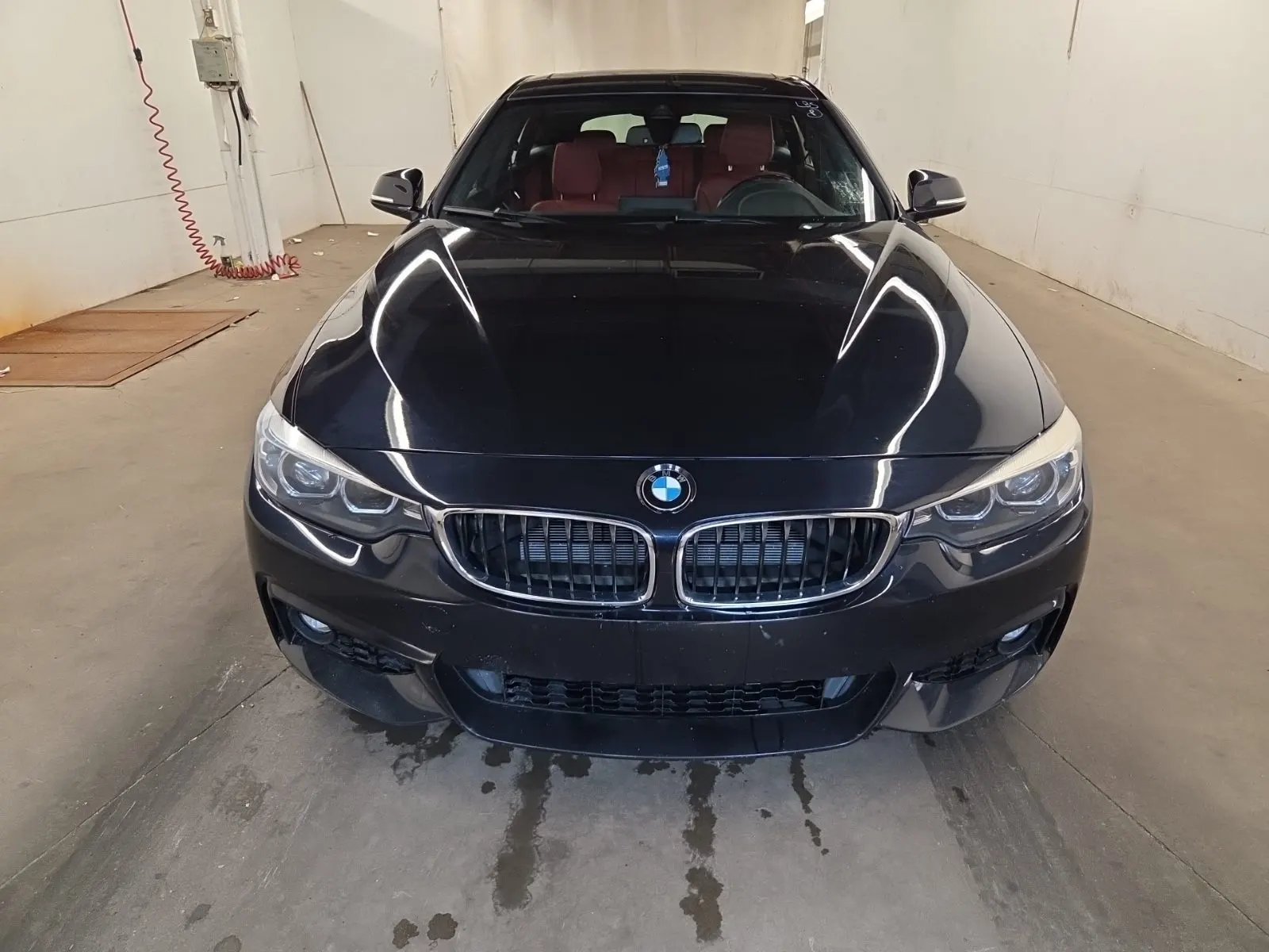 Full Front Photo