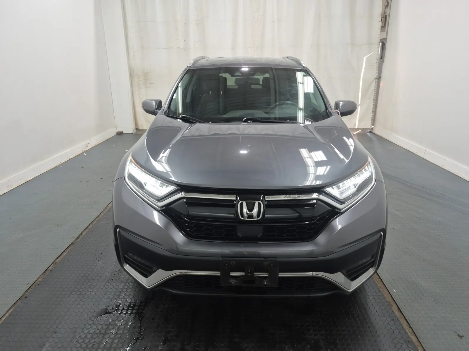 Full Front Photo