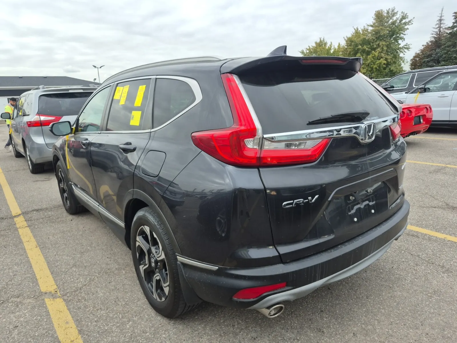 Driver Rear 3/4 Photo
