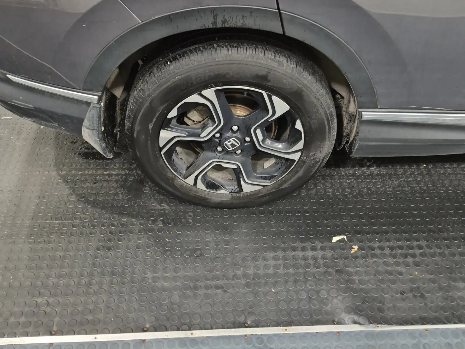 Right Rear Wheel/Tire Photo