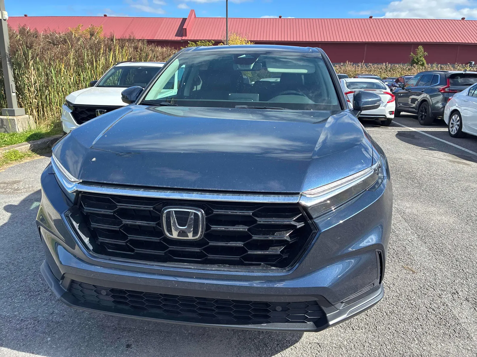 Front