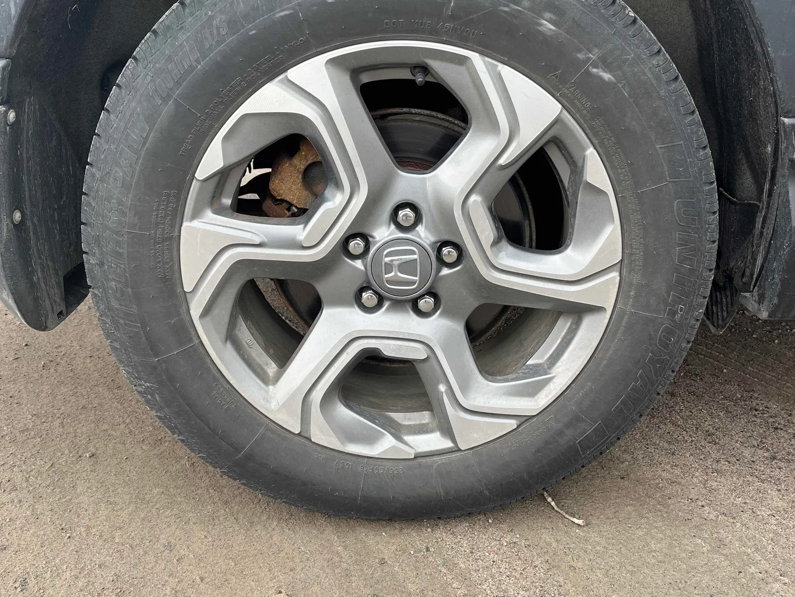 Additional Photo