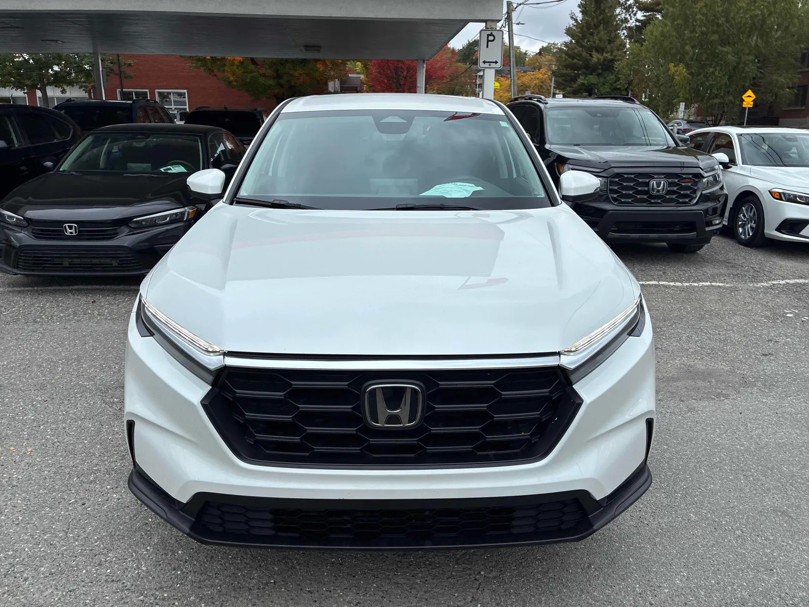 Front