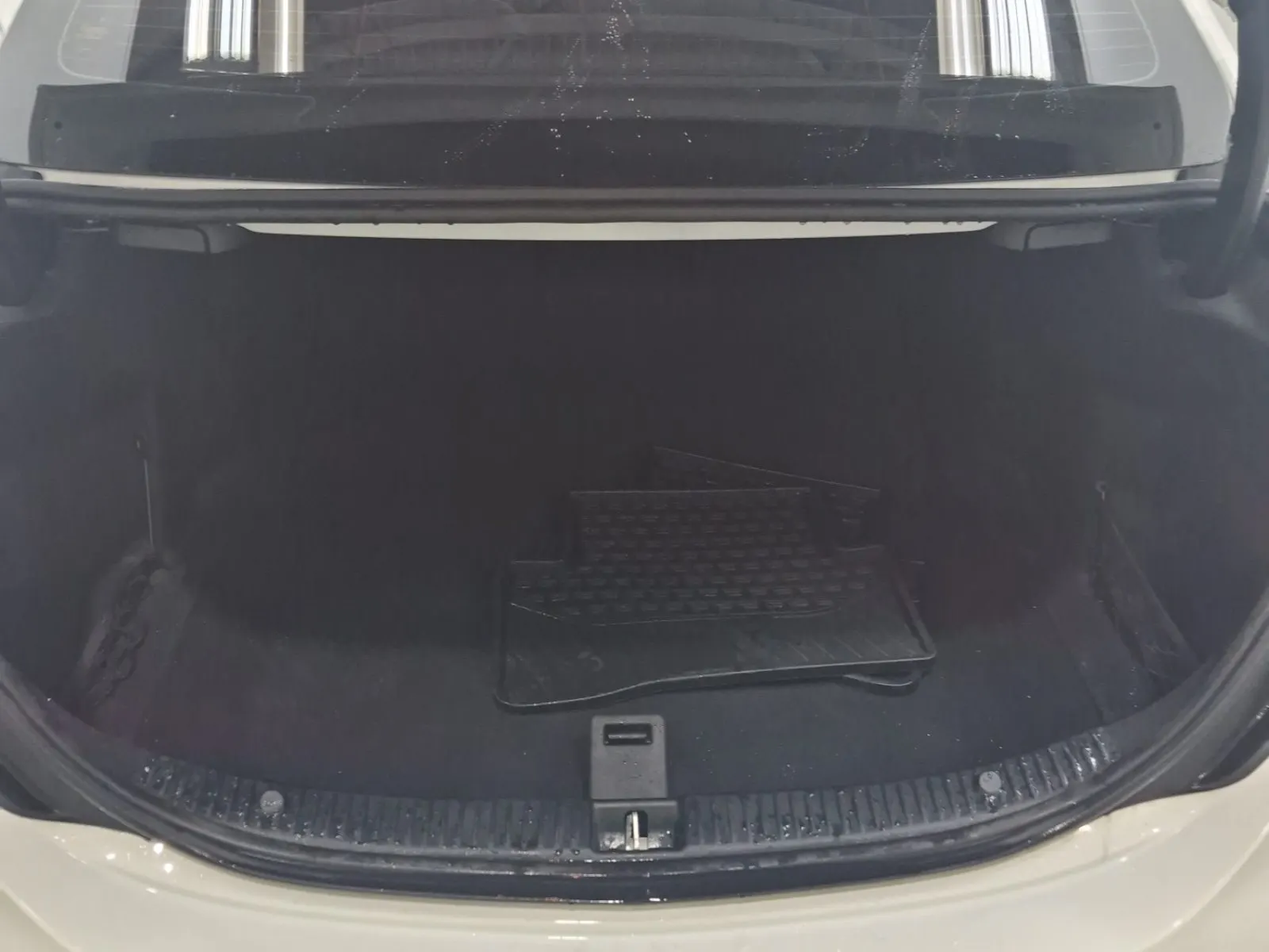 Cargo Area Photo