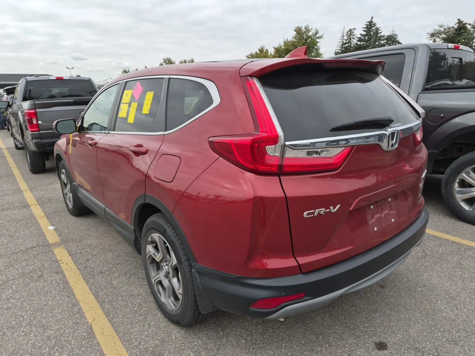 Driver Rear 3/4 Photo