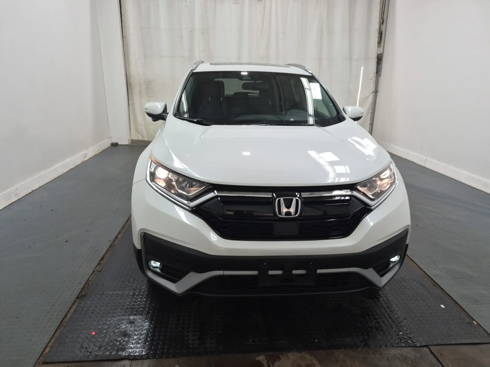 Full Front Photo