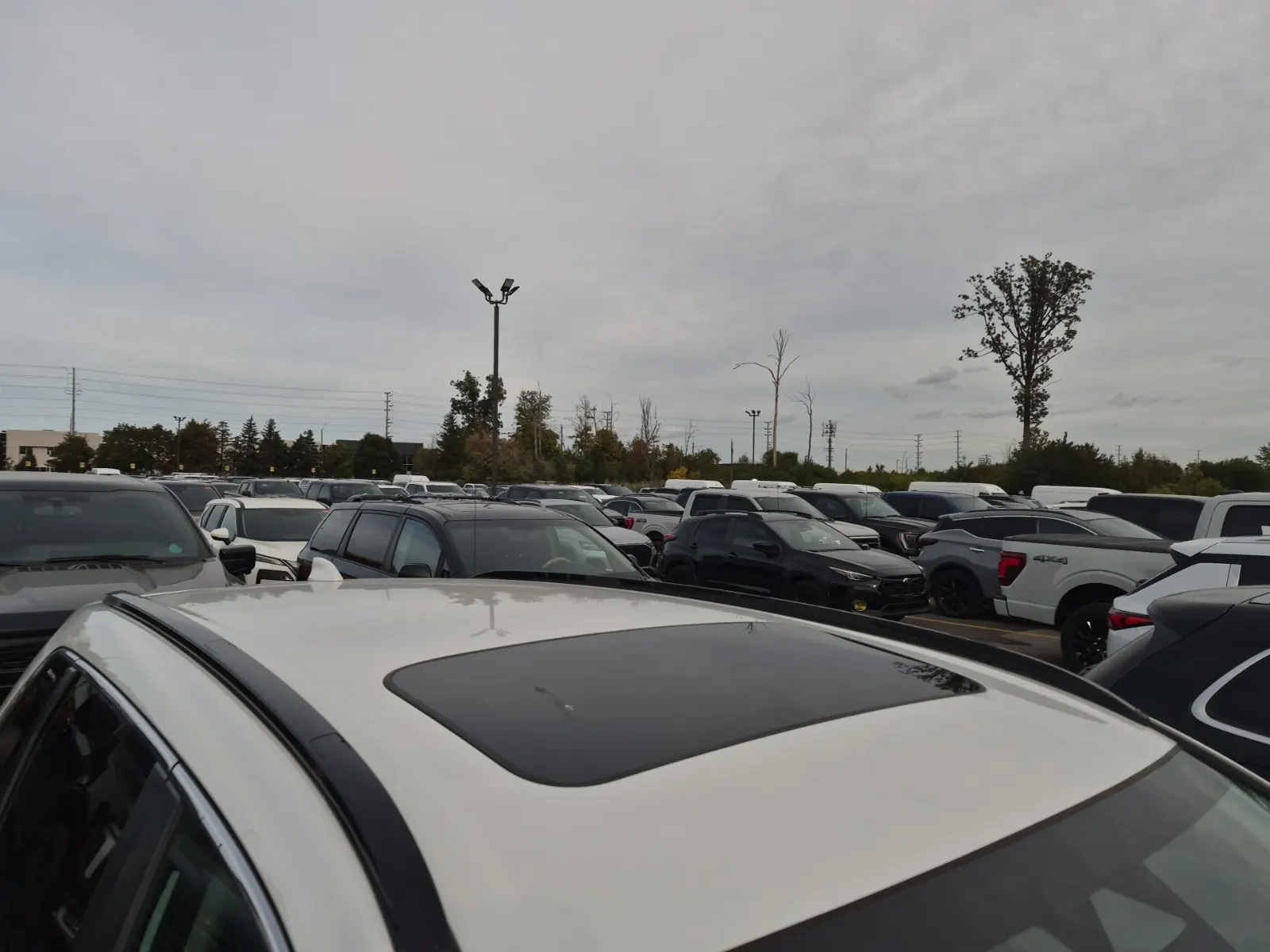 Exterior Roof Photo
