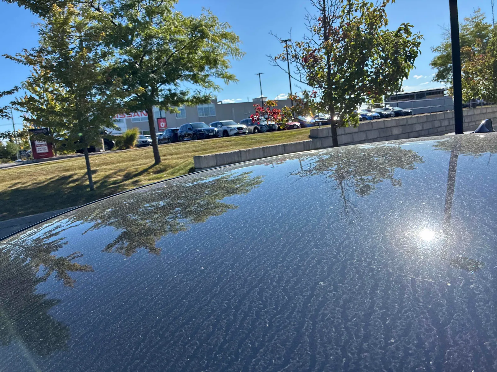 Additional Photo