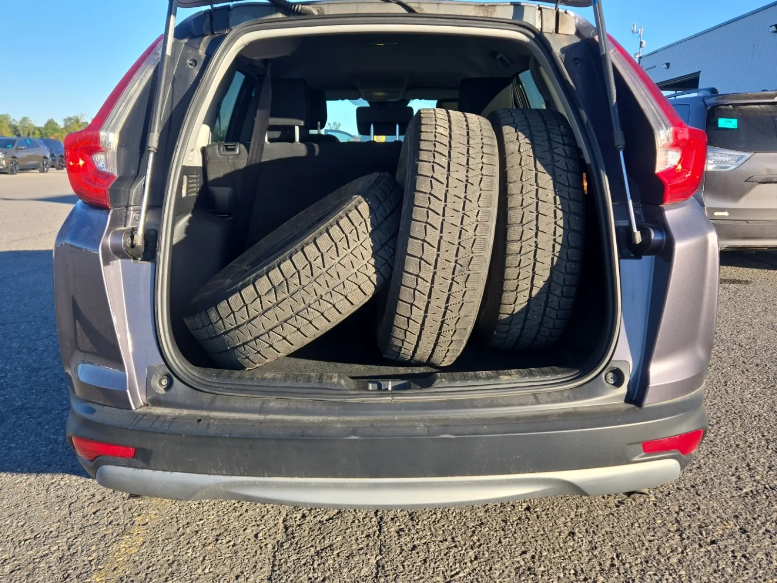 Cargo Area Photo