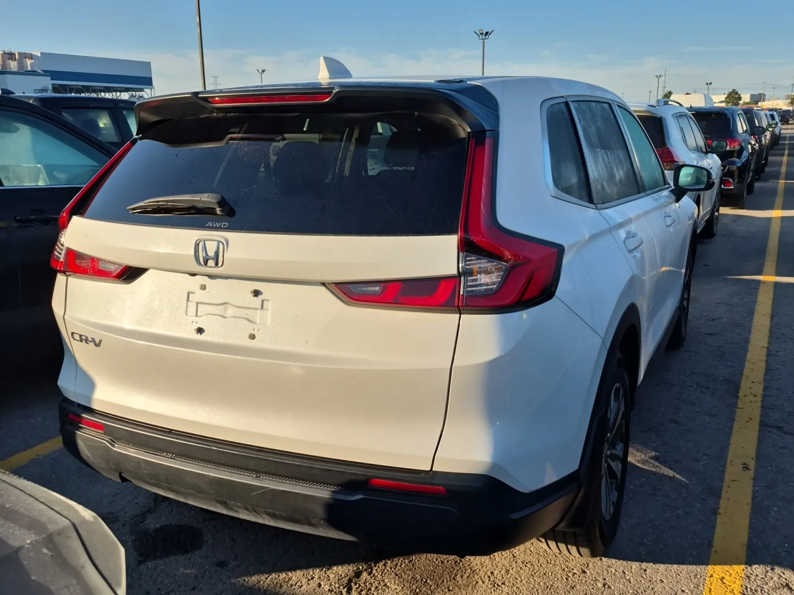 Passenger Rear 3/4 Photo