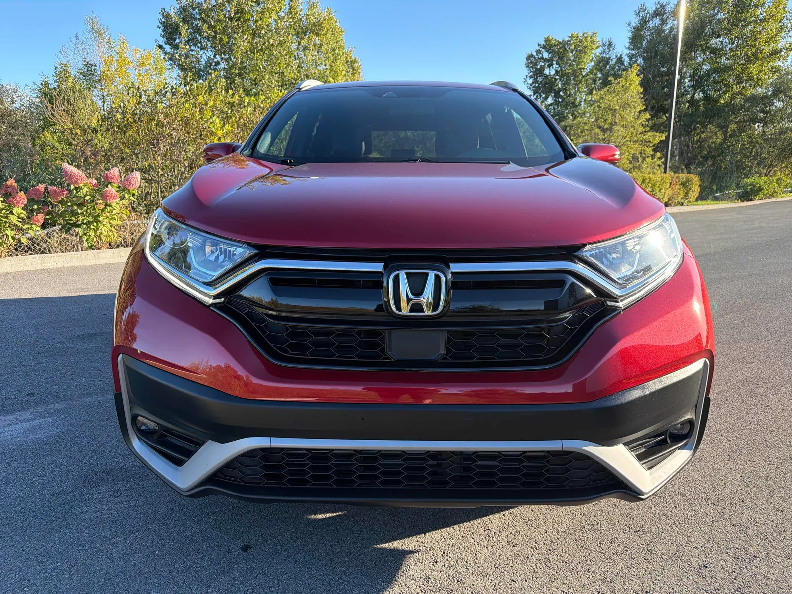 Front