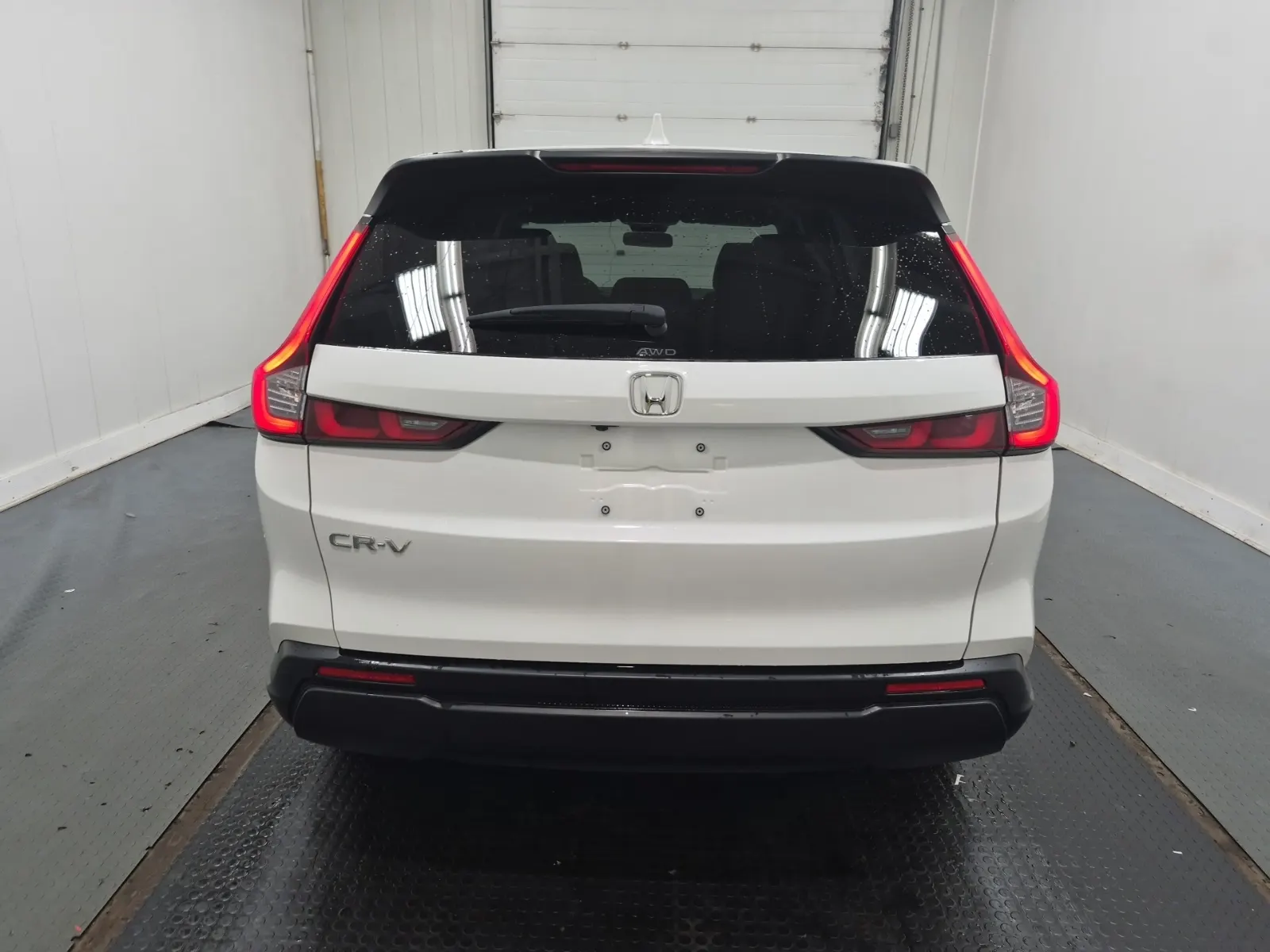 Full Rear Photo