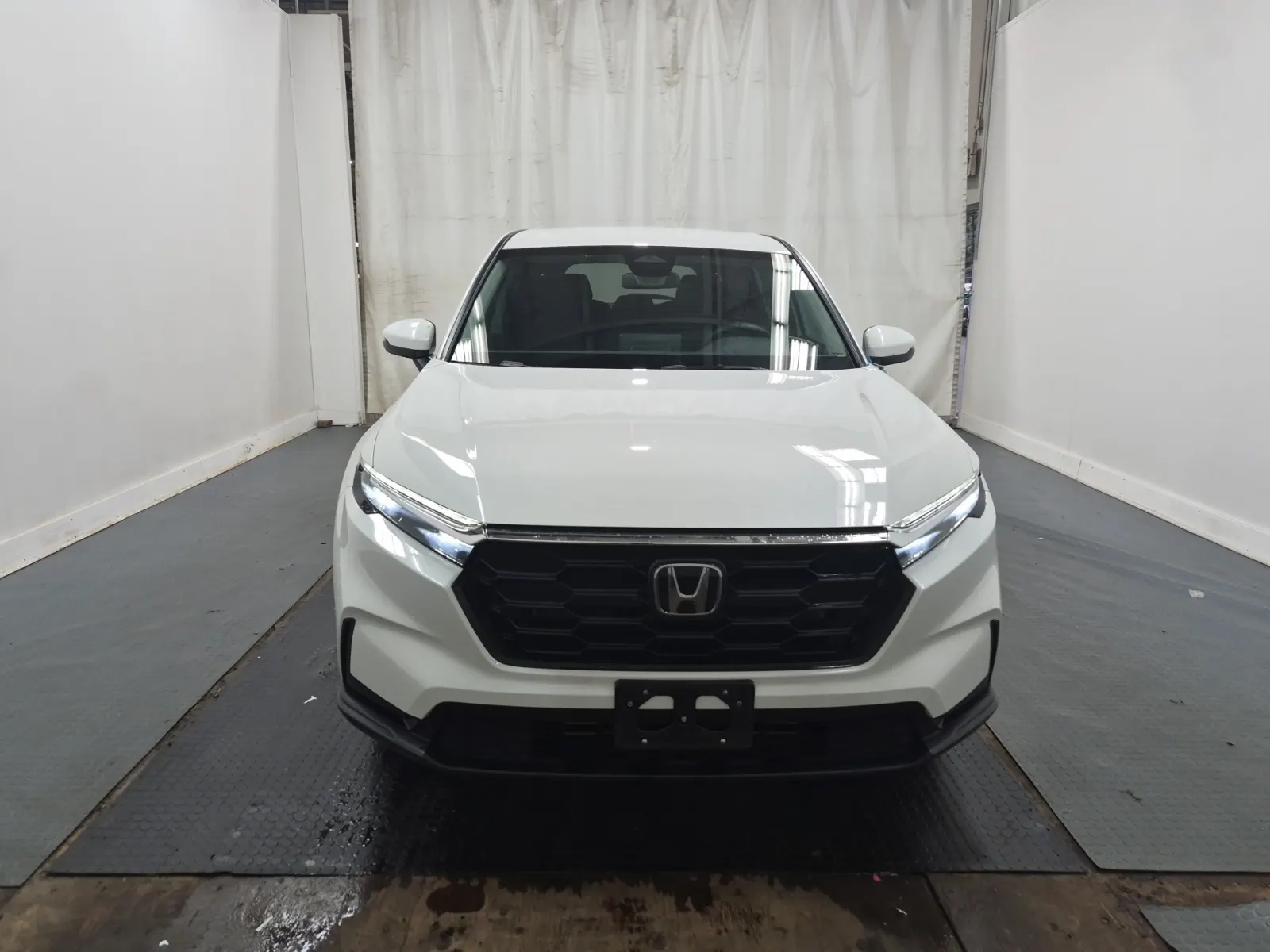 Full Front Photo