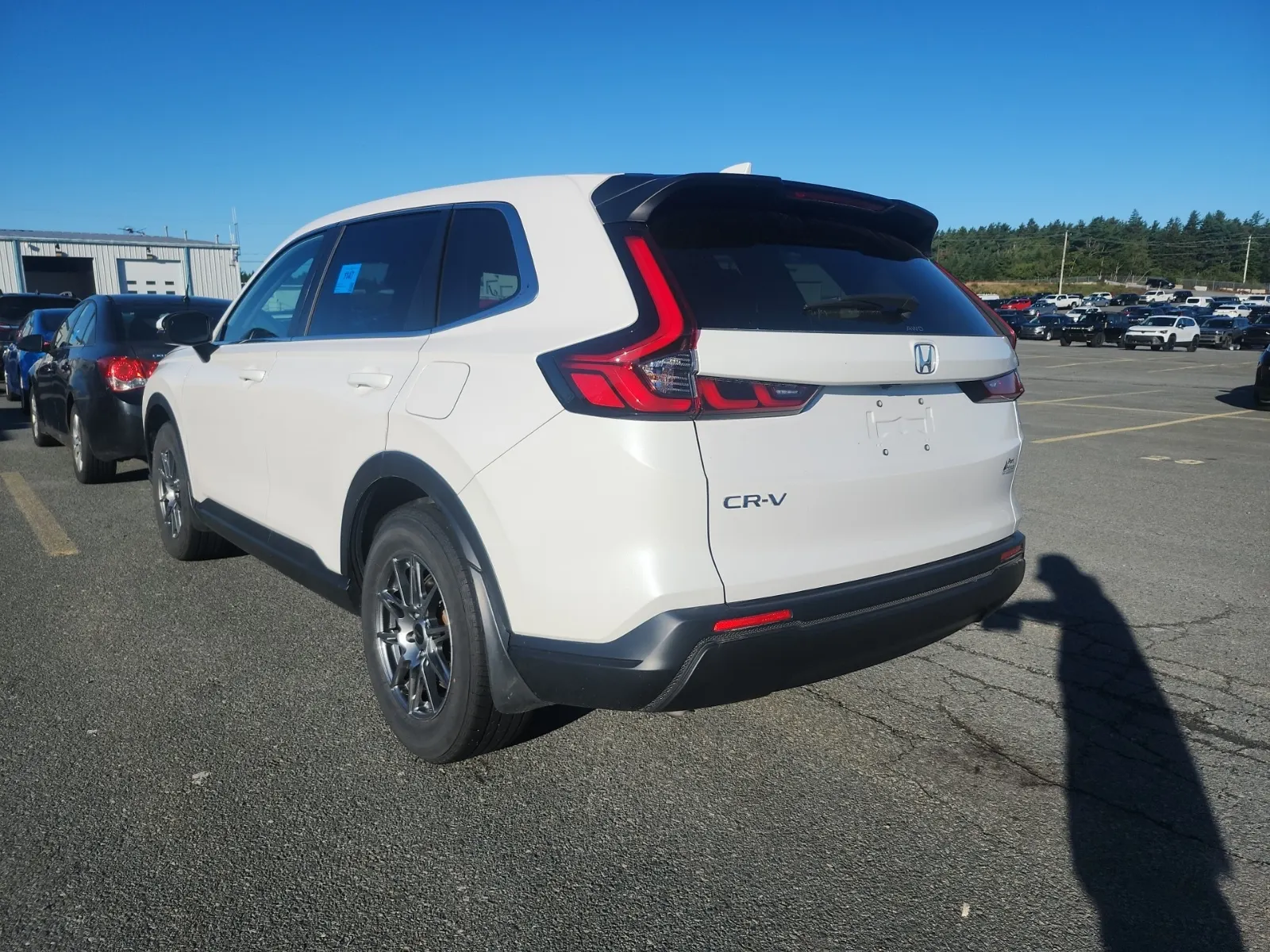 Driver Rear 3/4 Photo