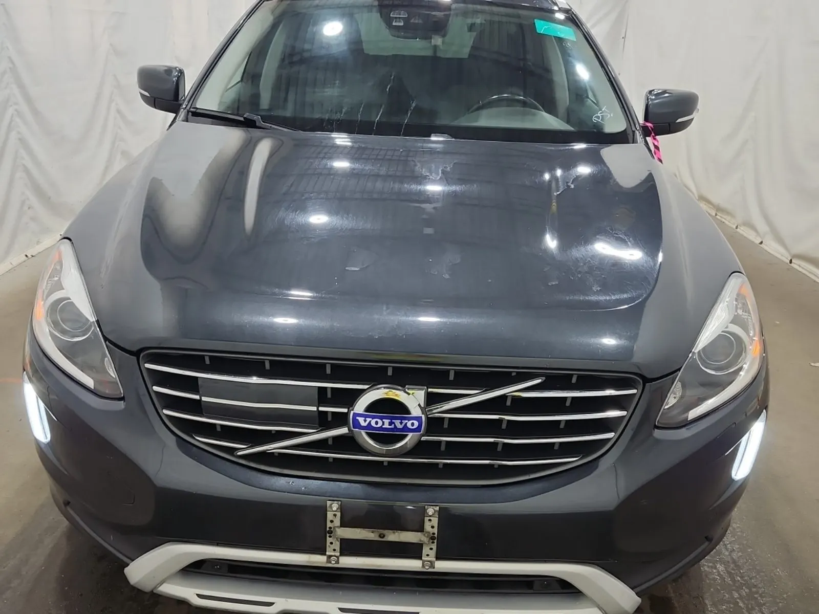 Full Front Photo