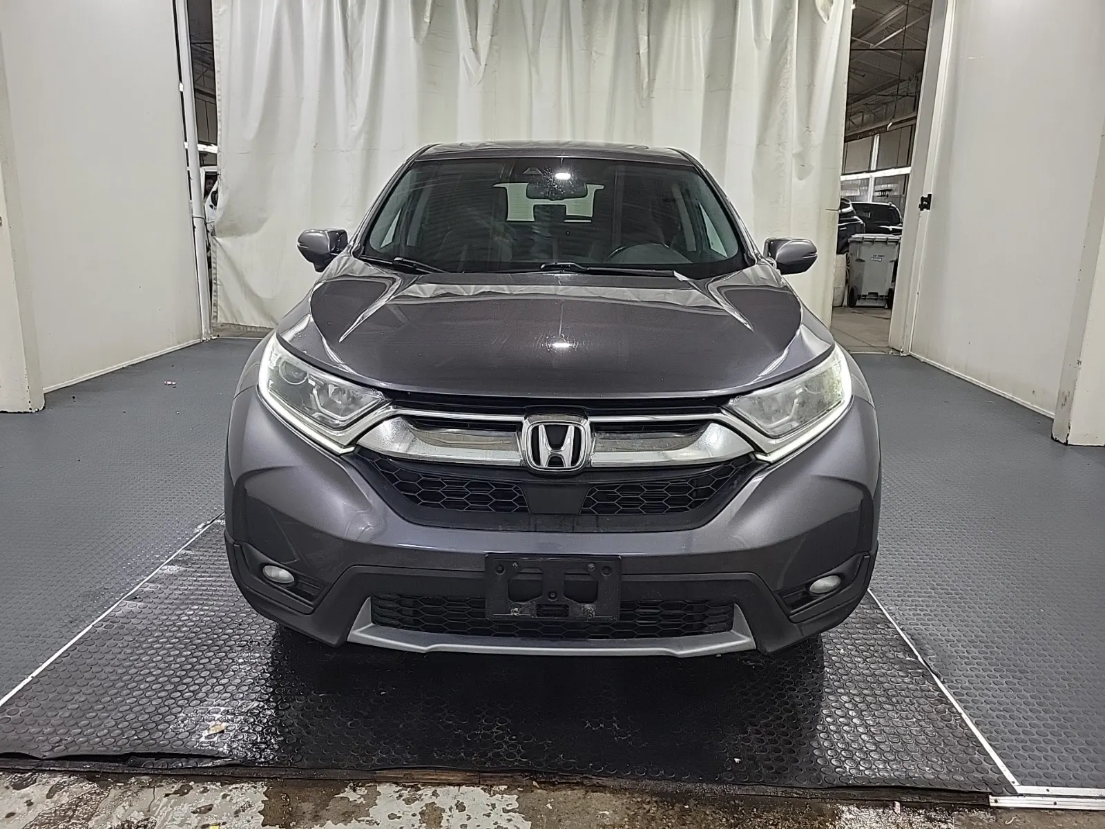 Full Front Photo
