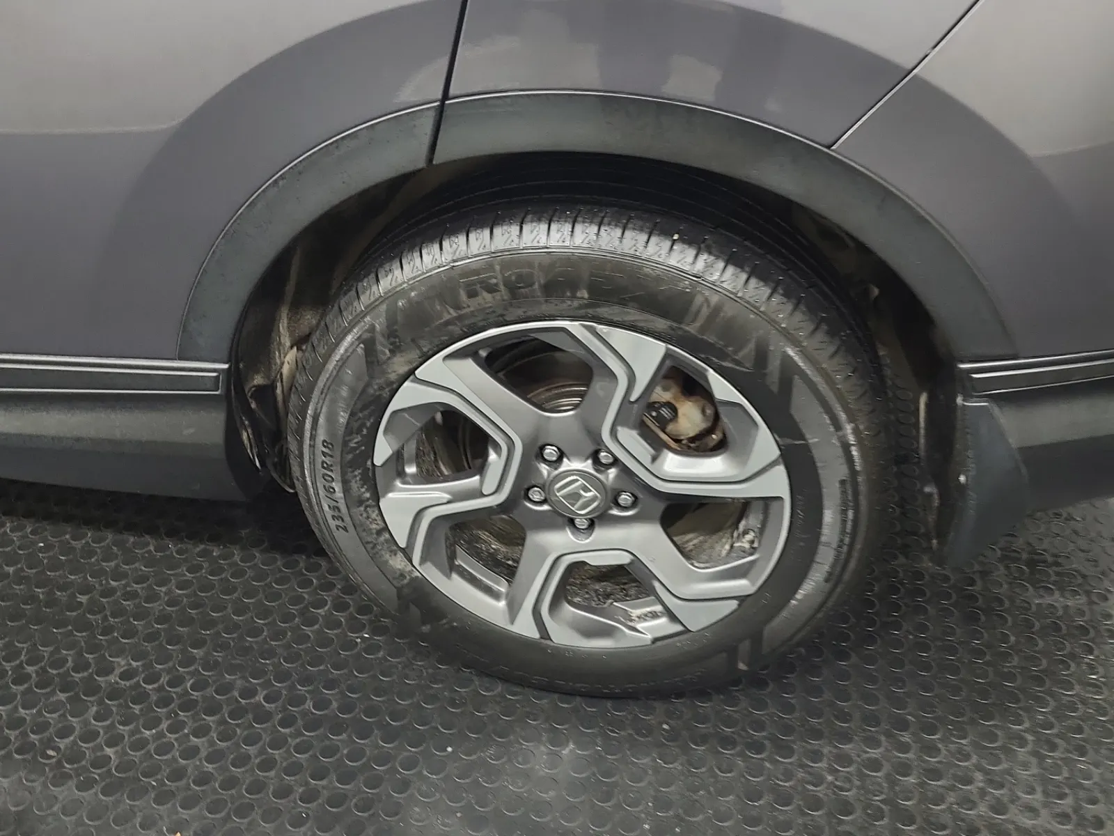 Left Rear Wheel/Tire Photo