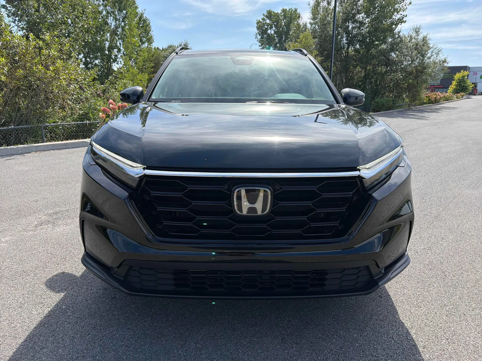 Front