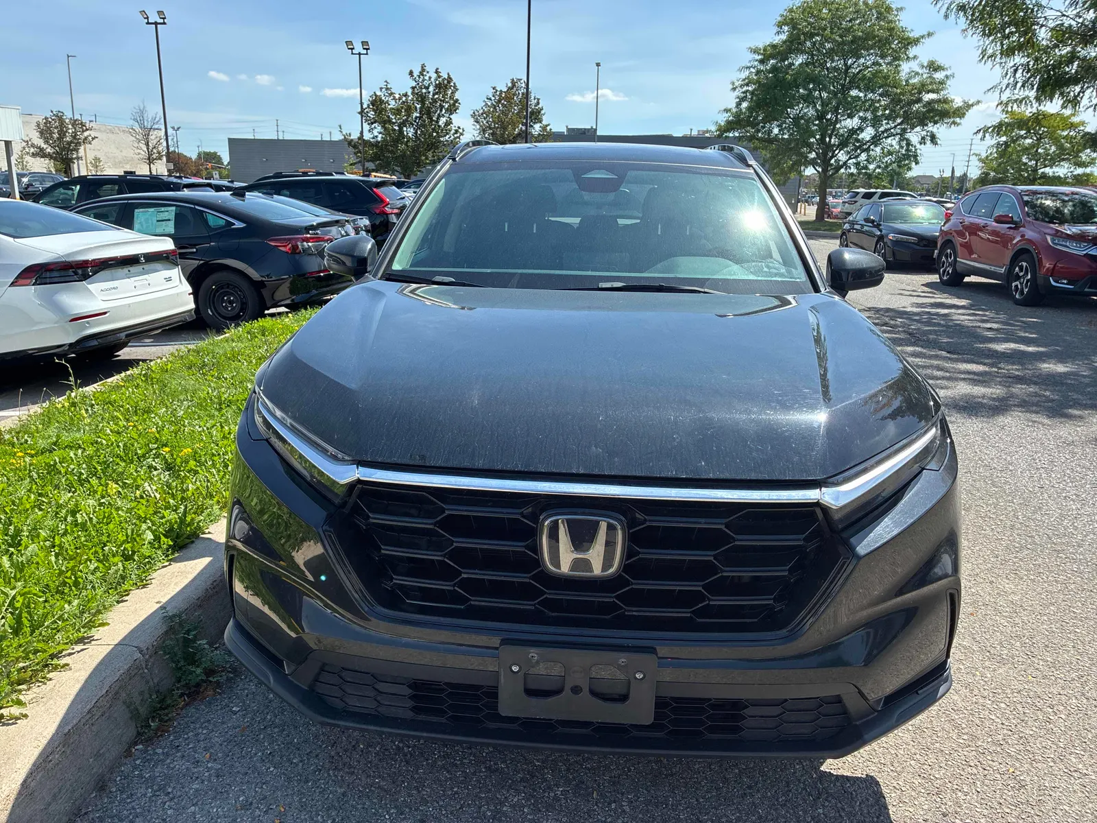 Front
